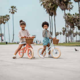 Banwood Laufrad Coral & Sky 2019 - 04