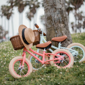 Banwood Laufrad Coral & Sky 2019 - 09