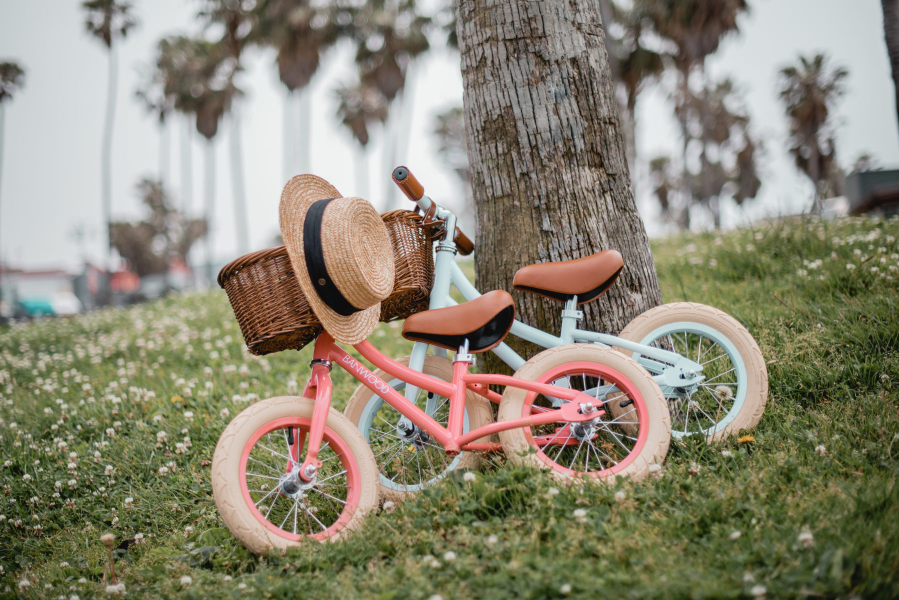 Banwood Laufrad Coral & Sky 2019 - 09