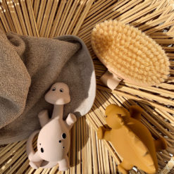 Liewood Algi Badespielzeug „Rose mix“ Mood