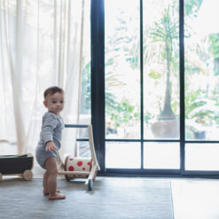 PlanToys Lauflernwagen Roll´n Walk 5