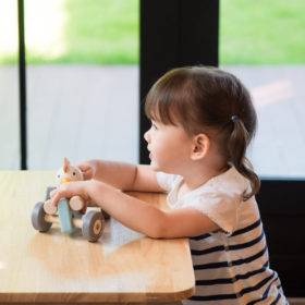 PlanToys Holzauto, Rennwagen mit Huhn 04