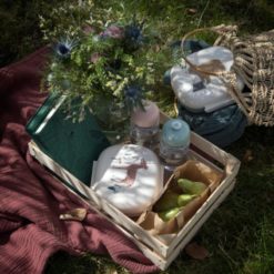 Sebra Lunchbox mit Trennwand, Nightfall „idyllic green“ Mood