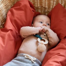 DELISTED Sebra Aktivitäts-Rassel, Mini, Milo der Bär – Bild 3