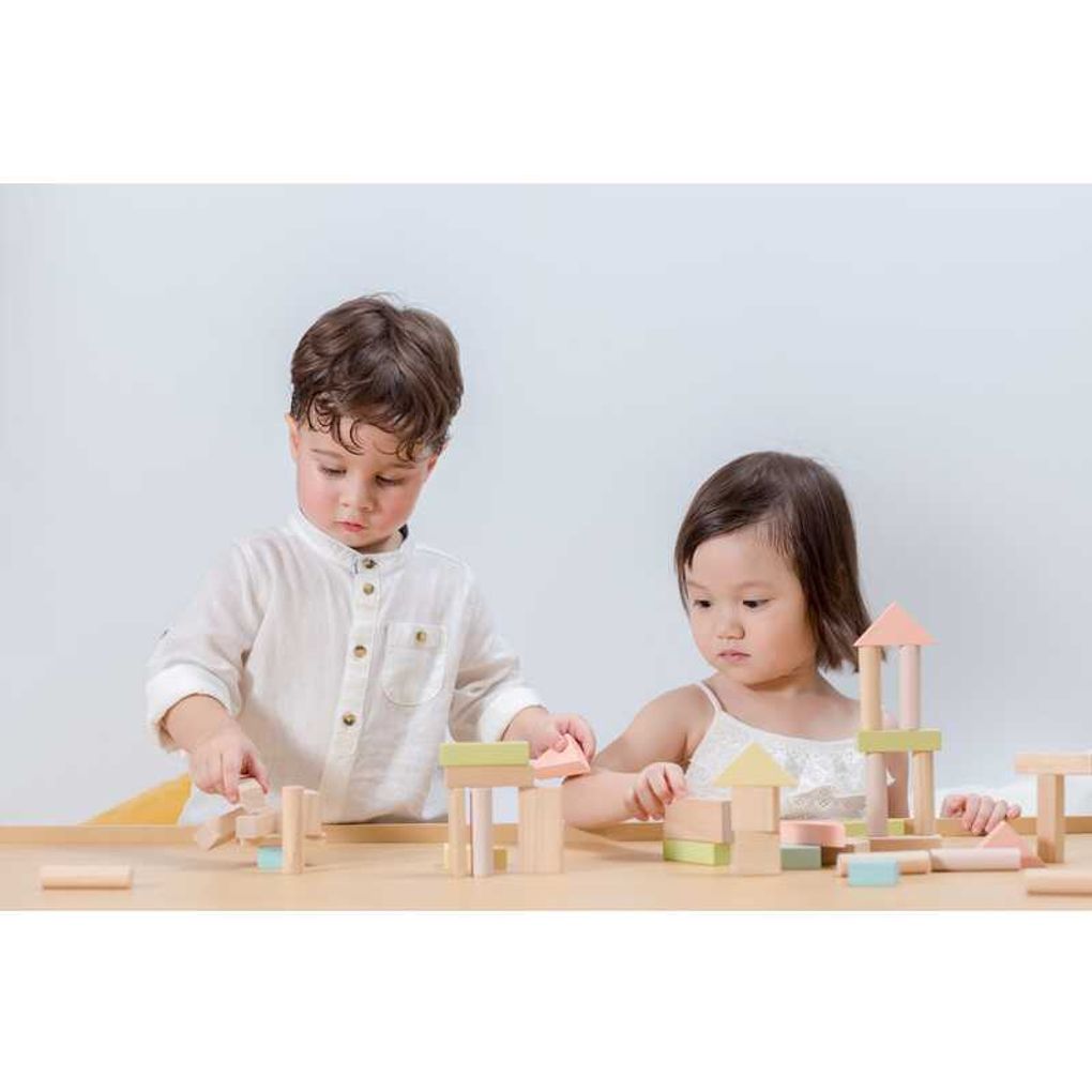 PlanToys Bauklötze-Set, 40-teilig aus Holz – Bild 5