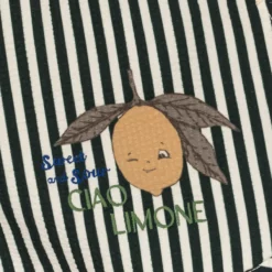 Konges Sløjd Badehose Asnou „Scarab“