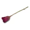 Gry & Sif Osterblumen „Tulip / Tulpe / cerise“