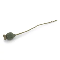 Gry & Sif Filzblumen Mohnkapsel