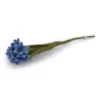 Gry & Sif Filzblumen „Kornblume – blau“ H33cm