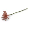 Gry & Sif Filzblumen „Kosmee – pfirsich“ H34cm