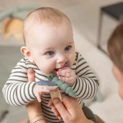 Sebra Aktivitätsspielzeug 3er Set „Blume, Libelle, Schwan“