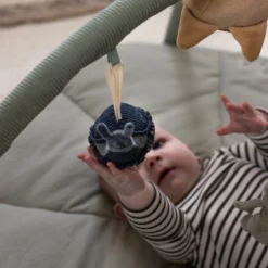 Sebra Aktivitätsspielzeug 3er Set „Frosch, Biene, Schnecke“-3