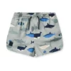 Liewood Aiden Kinder-Badeshorts „Shark / Dove blue“