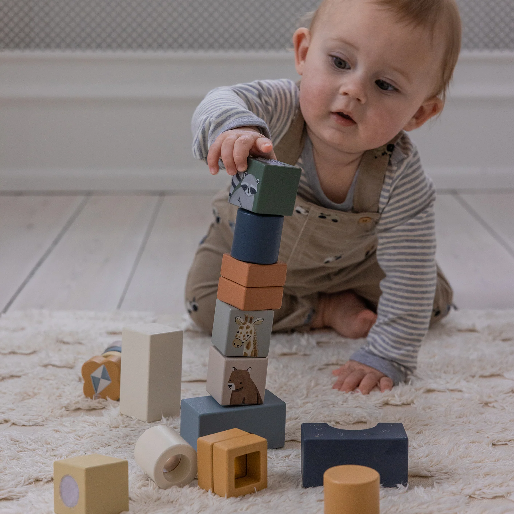 Sebra Magische Sortierbox, World of Sebra