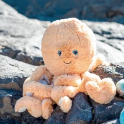 Oktopus Ollie auf einem Felsen – O.B. Designs