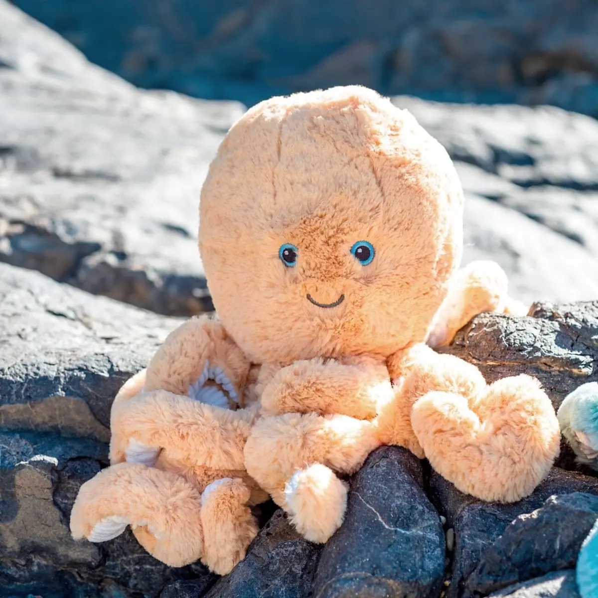Oktopus Ollie auf einem Felsen – O.B. Designs